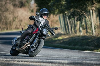Benelli Leoncino 500 2018 - Bild 2