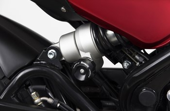 Benelli Leoncino 500 2018 - Bild 25