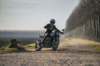 Benelli Leoncino 500 2018 - Bild 28