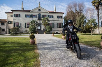 Benelli Leoncino 500 2018 - Bild 29
