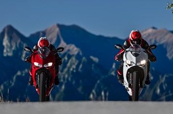 Ducati 959 Panigale 2018 - Bild 43 Ducati 959 Panigale 2018 - Bild 43