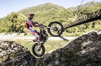 Beta Evo 300 4Takt 2018 - Bild 5