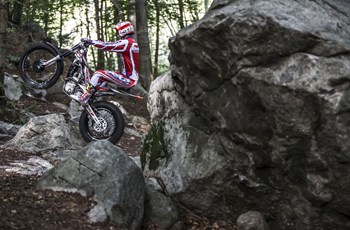 Beta Evo 300 4Takt 2018 - Bild 9