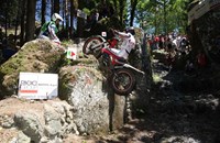 Beta Evo 200 2T 2018 - Bild 3