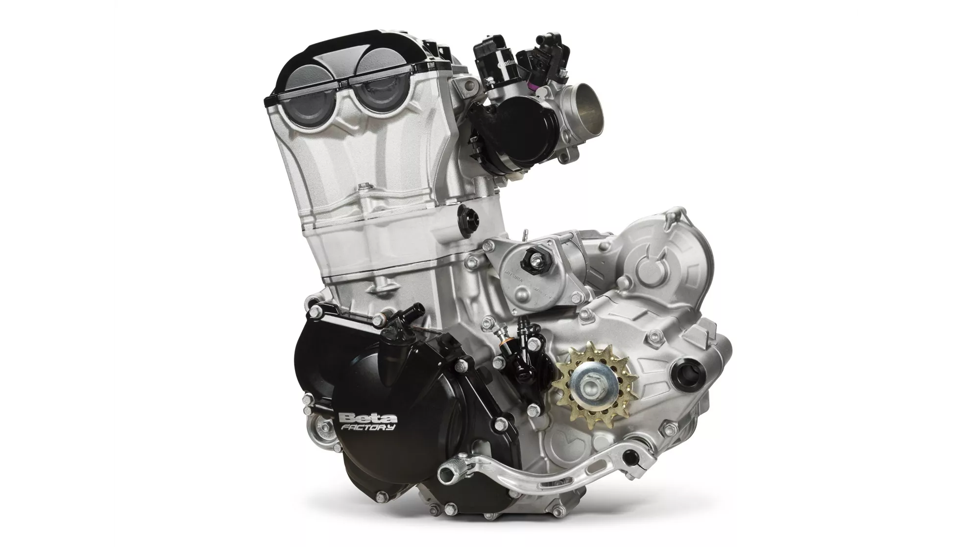 Beta RR 480 - Image 4 Beta RR 480 - Image 4