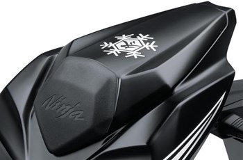 Kawasaki Ninja ZX-10RR 2018 - Bild 3