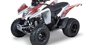 Kymco Maxxer 300 2020 vs Aeon Cobra 50 2018