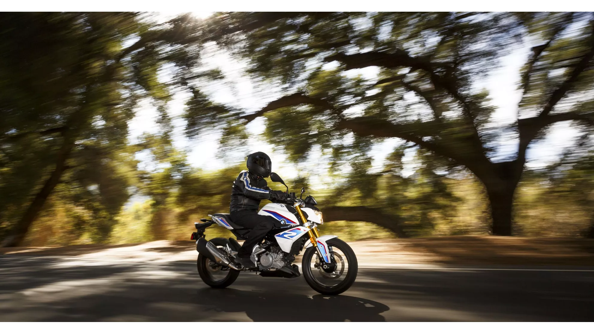 BMW G 310 R - Image 15 BMW G 310 R - Image 15