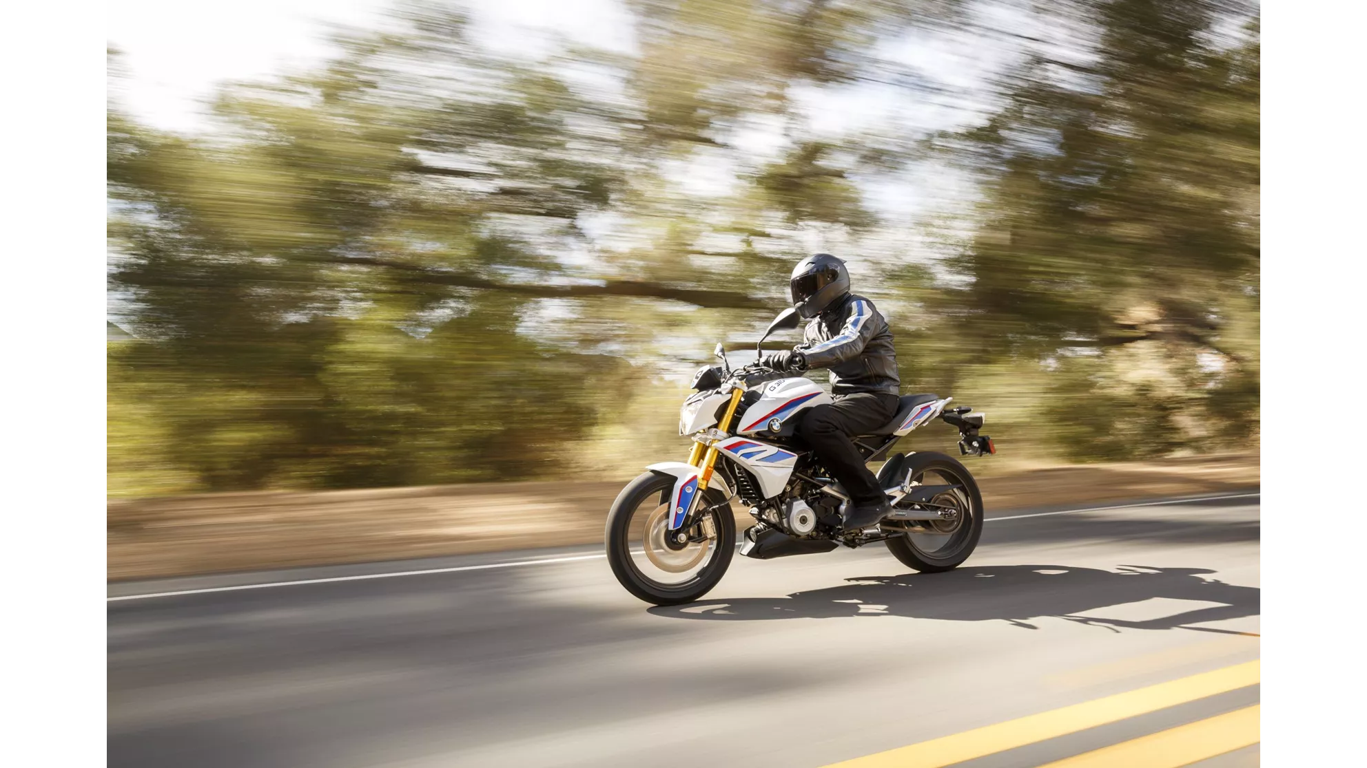 BMW G 310 R - Image 20 BMW G 310 R - Image 20