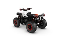 Can-Am Renegade 570 XXC 2018 - Bild 3