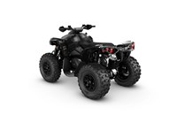 Can-Am Renegade 570 XXC 2018 - Bild 5