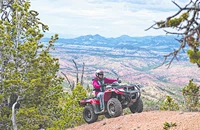 Arctic Cat Alterra 400 4x4 2018 - Bild 3 Arctic Cat Alterra 400 4x4 2018 - Bild 3