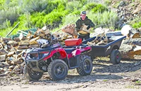 Arctic Cat Alterra 400 4x4 2018 - Bild 4 Arctic Cat Alterra 400 4x4 2018 - Bild 4