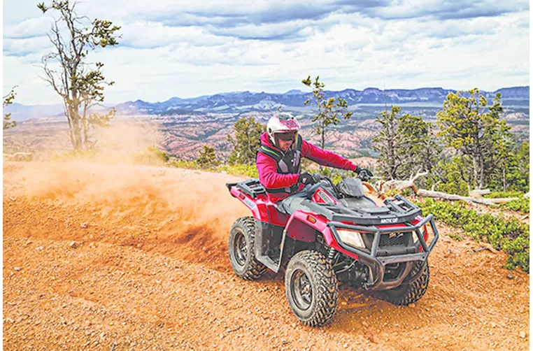Arctic Cat Alterra 450 4x4 2018 Arctic Cat Alterra 450 4x4 2018