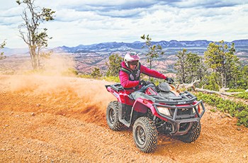 Arctic Cat Alterra 450 4x4 2018 - Bild 4 Arctic Cat Alterra 450 4x4 2018 - Bild 4