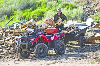 Arctic Cat Alterra 450 4x4 2018 - Bild 8 Arctic Cat Alterra 450 4x4 2018 - Bild 8
