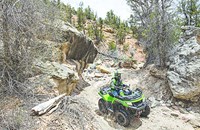 Arctic Cat Alterra 700 2018 - Bild 2