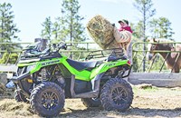 Arctic Cat Alterra 700 2018 - Bild 4