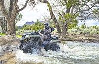 Arctic Cat Alterra 700 XT 2018 - Bild 5