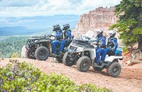 Arctic Cat Alterra TRV 550 XT 2018 - Bild 4