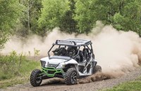 Arctic Cat Wildcat 1000 4x 2018 - Bild 5