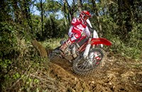 GASGAS EC 200 Racing 2018 - Bild 2 GASGAS EC 200 Racing 2018 - Bild 2