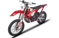 GASGAS EnduroGP 300 2018 - Bild 2