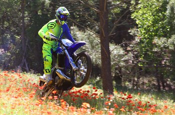 Sherco 250 SE-R 2018 - Bild 2