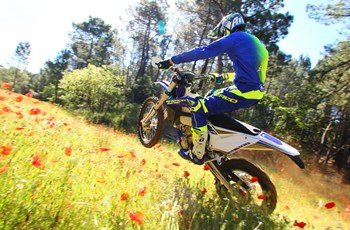 Sherco 300 SEF-R 2018 - Bild 2