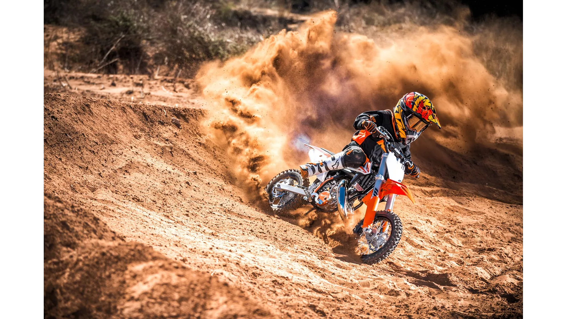 KTM 50 SX - Image 2 KTM 50 SX - Image 2