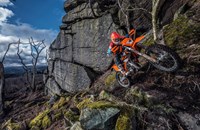 KTM 150 XC-W 2019 - Bild 2