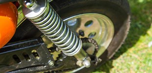 Skyteam T-Rex 2019 vs Skyteam Gorilla 50 2019