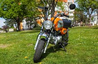 Skyteam Gorilla 50 2019 - Bild 5