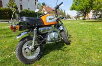 Skyteam Gorilla 50 2019 - Bild 6