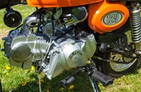 Skyteam Gorilla 50 2019 - Bild 7