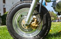 Skyteam Gorilla 50 2019 - Bild 11