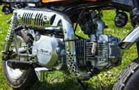 Skyteam Gorilla 50 2019 - Bild 13