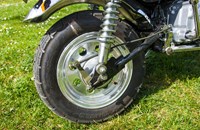 Skyteam Gorilla 50 2019 - Bild 15