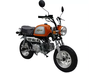 Skyteam Gorilla 125 2019 Skyteam Gorilla 125 2019