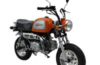 Skyteam Gorilla 125 2019 - Bild 1