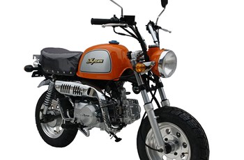 Skyteam Gorilla 125 2019 - Bild 2