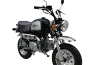 Skyteam Gorilla 125 2019 - Bild 5