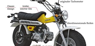 Skyteam T-Rex 2019 vs Skyteam Gorilla 50 2019