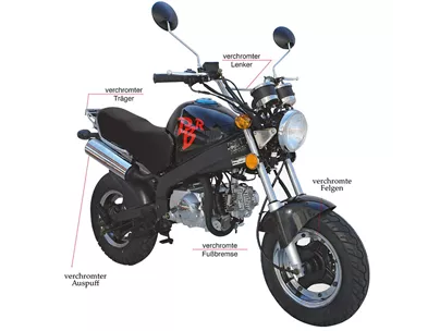 Skyteam PBR 50 2019 Skyteam PBR 50 2019