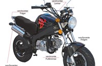 Skyteam PBR 50 2019 - Bild 1