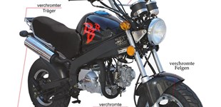 Honda Monkey 125 2018 vs Skyteam PBR 50 2019