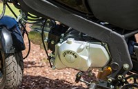 Skyteam PBR 50 2019 - Bild 8