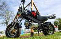 Skyteam PBR 50 2019 - Bild 17