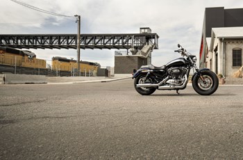 Harley-Davidson Sportster XL 1200C Custom 2019 - Bild 5 Harley-Davidson Sportster XL 1200C Custom 2019 - Bild 5