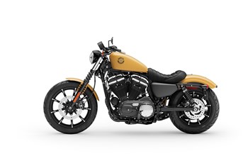 Harley-Davidson Sportster XL 883 N Iron 2019 - Bild 4 Harley-Davidson Sportster XL 883 N Iron 2019 - Bild 4